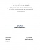 El rol de un licenciado en administración y el comercio exterior