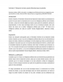 Actividad Redacción de texto usando diferentes tipos de párrafos