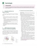 Semiología neurológica