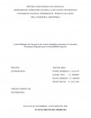 Control Biológico del Gorgojo de los Granos (Sitophilus granarius) en Venezuela: Estrategias Integradas para la Sostenibilidad Agrícola