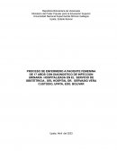 Proceso de enfermero a paciente femenina de 17 años