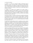 La ecología de los humanos