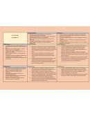 Análisis DOFA Condores S.A