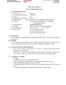 Metodologia del cuidado de enfermeria