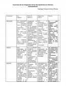 Funciones de los Integrantes de los Ayuntamientos en distintos ordenamientos