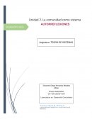 La comunidad como sistema