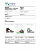 International commercialization strategies