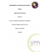 Iniciativa empresarial de acuerdo a los procesos industriales