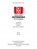 Especialización en Inteligencia de Negocios con énfasis en Big Data