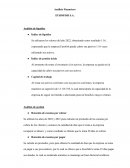 Análisis Financiero Eurofish S.A