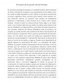 Procesos de Curación de las Heridas