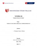 Proyecto de empleabilidad y emprendimiento