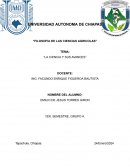 La ciencia y sus avances