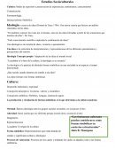 La sintaxis de la cotidianidad como producción social de la conciencia