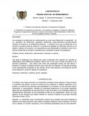 Prueba afectiva: de ordenamiento