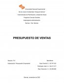 Presupuesto de ventas