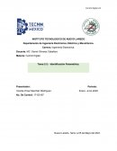 Identificación Paramétrica