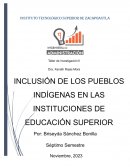 Inclusion de los pueblos indigenas