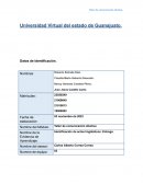 Identificación de actos lingüísticos: Entrega