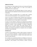 La ameba patógena que provoca la tercera enfermedad parasitaria más importante del mundo