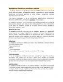 Analgésicos Narcóticos: morfina y codeína