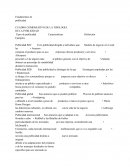 Cuadro comparativo de la tipologia de la publicidad