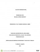 Cultura organizacional. Gerencia en seguridad y salud en el trabajo