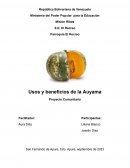 Usos y beneficios de la Auyama