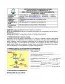 Metabolismo de los lípidos y proteínas
