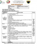 Guía pedagógica. Tema generador: colonización