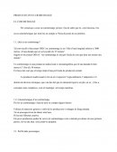 Producció d'un curtmetratge