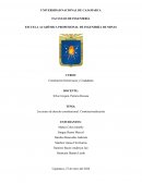 Lecciones de derecho constitucional: Constitucionalización