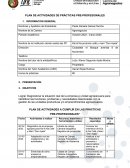 Planificación de Practicas Pre profesionales