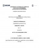 Protocolo de investigación: estructura e importancia