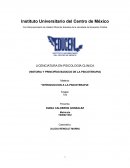 Introduccion a la psicoterapia