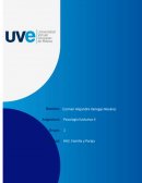 Senectud y mitos de la vejez.