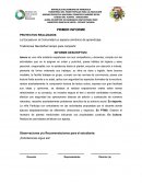 Tradiciones Navideñas tiempo para compartir