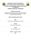 Importancia De La Desparasitación En Animales