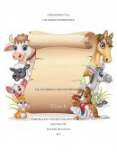 Unidad didáctica Animales domesticos