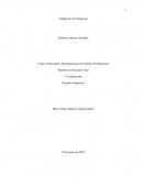 Ensayo de Derecho Tributario