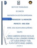 La empresa Miel Káab