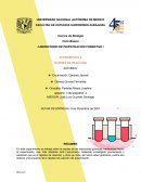 Rapidez de reacción