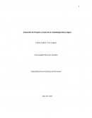 Evaluación de Proyecto a través de la metodología Marco Lógico