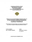 Diseño de un plan de mantenimiento preventivo para los equipos auxiliares de la empresa Granitos Bolívar, C.A.