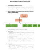 Preguntas del caso de Cruz del Sur