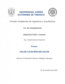 Ensayo.Calles y algo más que Calles. Página 1