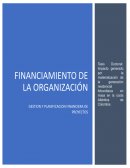 Ensayo Financiamiento de la organización