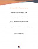 Implementando la Cultura Organizacional