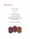 Sumativa Tipologías del Narrador (Análisis comparativo)