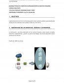 Implementacion de servicios para streaming de audio y video